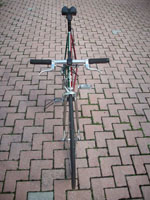 tri25